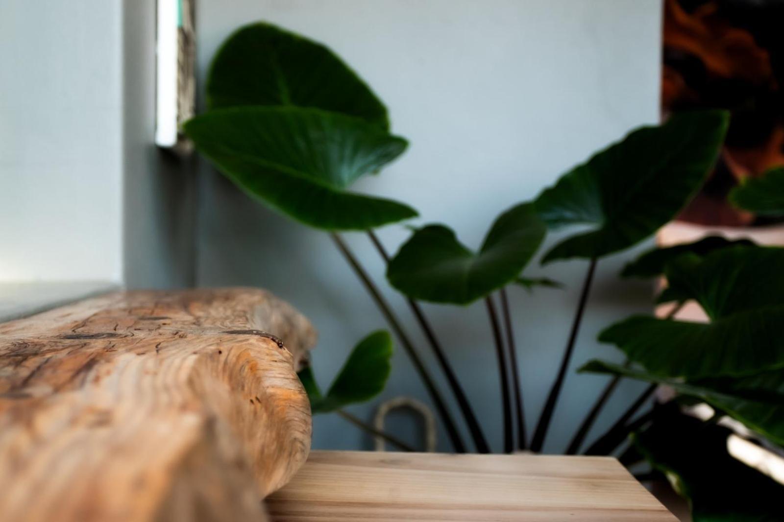 Oak On Main Apartment Hermanus Bagian luar foto